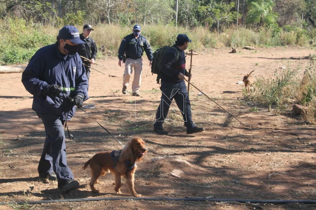 El can que realizó la búsqueda. Foto: Víctor Moríngo.