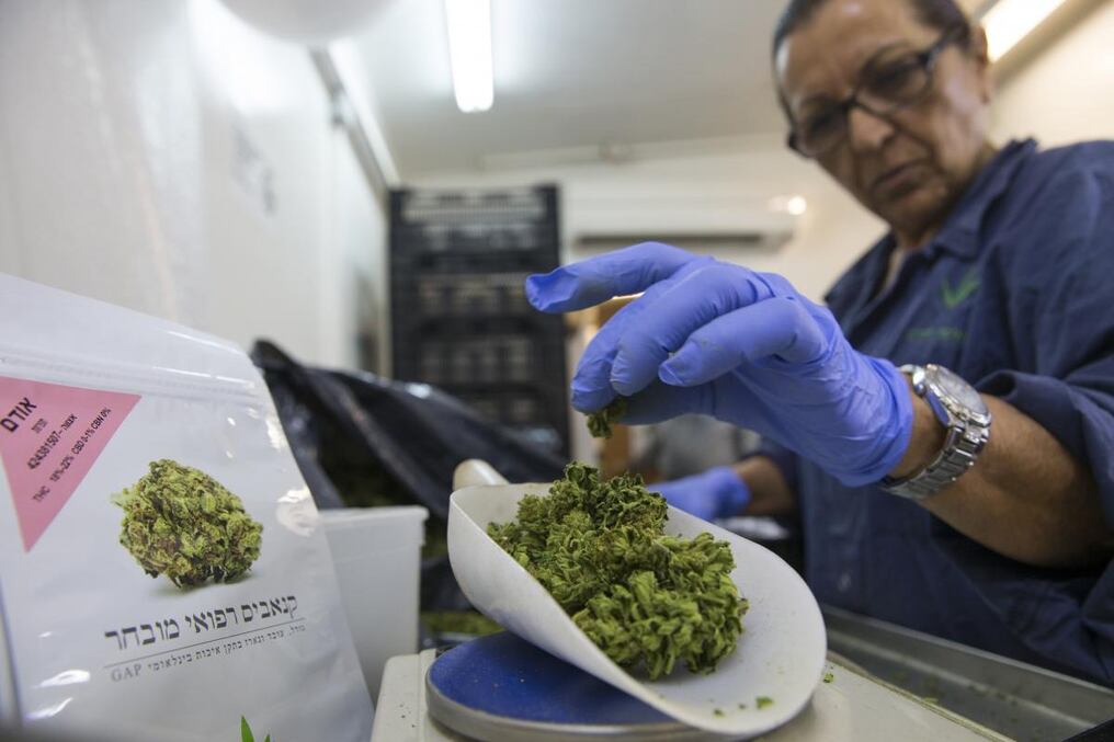 Cada planta está monitorizada por un programa que controla sus parámetros bioquímicos 24h/24.