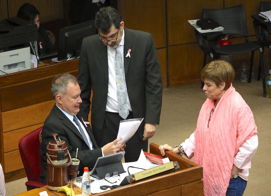 Con este proyecto buscan desvirtuar los argumentos que dotan a las entidades binacionales de su autonomía presupuestaria porque dependen de un Tratado y no de la Constitución Nacional. Foto: Archivo