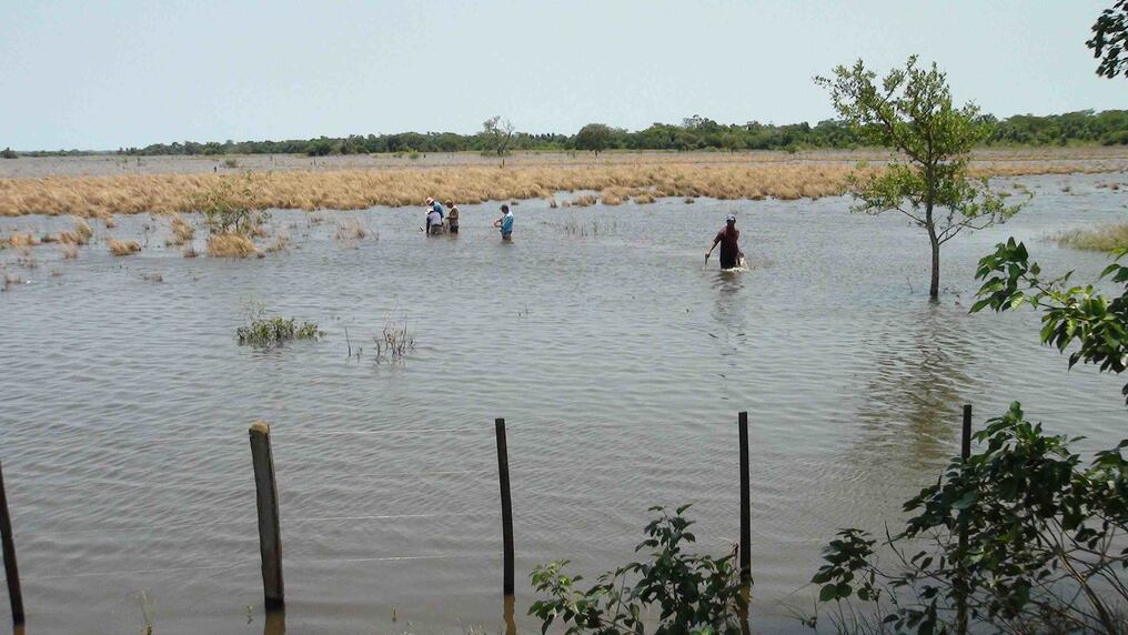 Los pobladores se rebuscan en los esterales por pescado ante la falta de alimento.