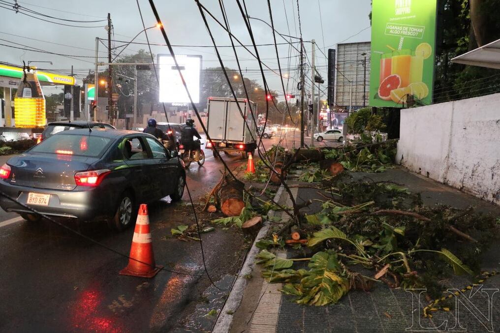 Cables caídos complicaron la tarea del restablecimiento del servicio eléctrico.