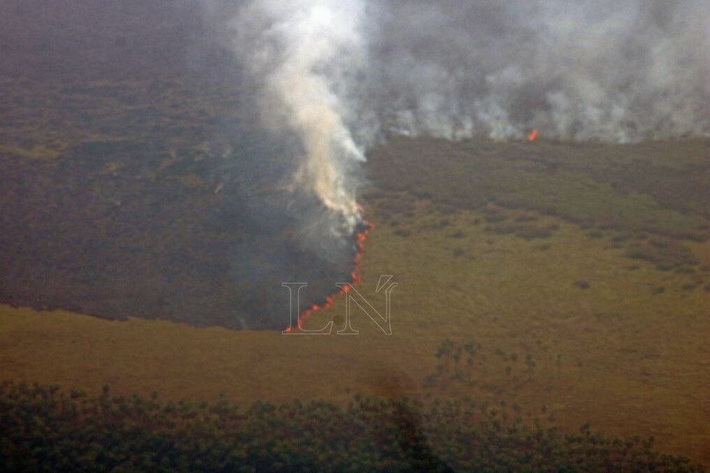 Incendios arrasaron con miles de hectáreas de bosques en el Chaco. FOTO: CARLOS JURI. ARCHIVO.