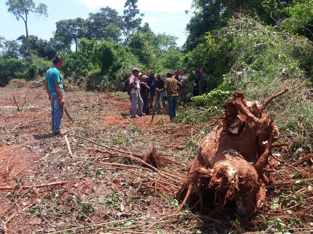 Campesinos intervinieron para parar tala de bosques en San Pedro. Foto: Lorenzo Agüero.