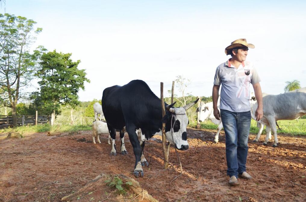 Los créditos beneficiarán a los pequeños y medianos ganaderos.