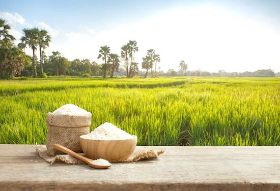 En Paraguay se siembran unas 165.000 hectáreas de arroz al año.