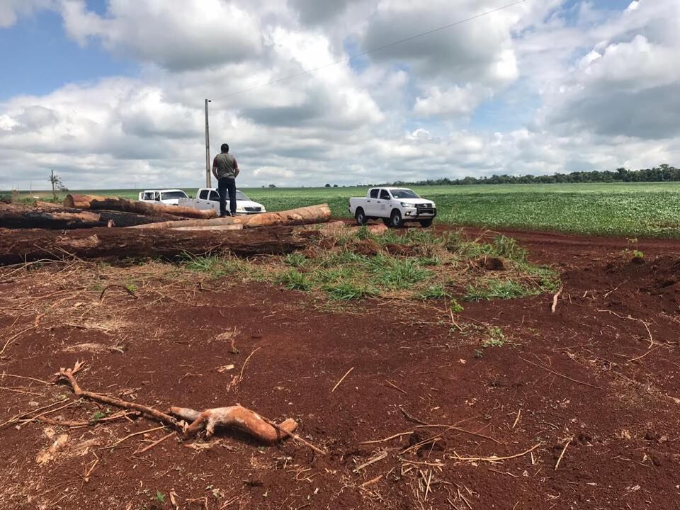 La fiscal Zunilda Ocampos ordenó la detención e imputación por delito ambiental del propietario del establecimiento. Foto: Gentileza