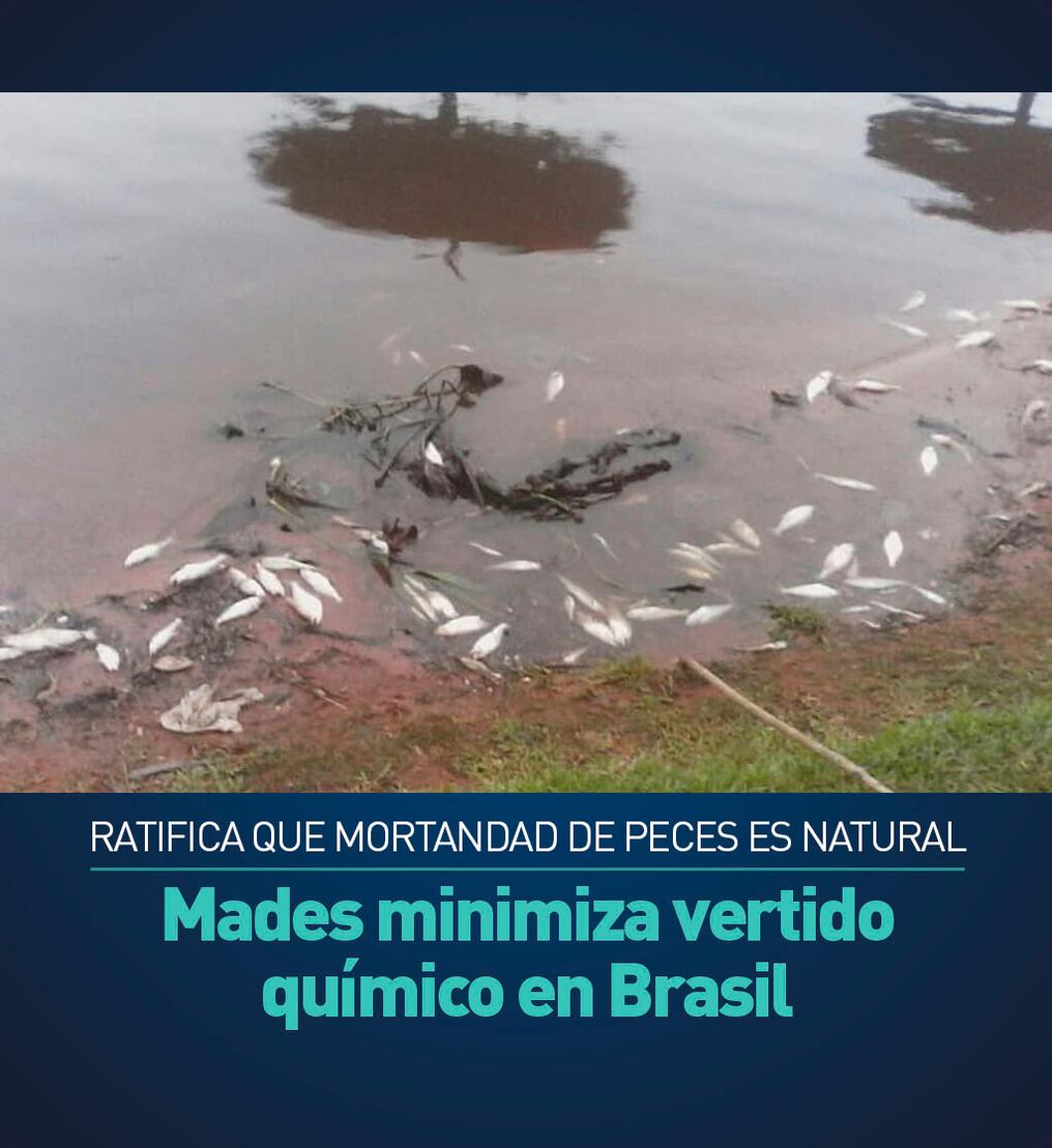 Mades minimiza vertido químico en Brasil y ratifica que mortandad de peces es natural