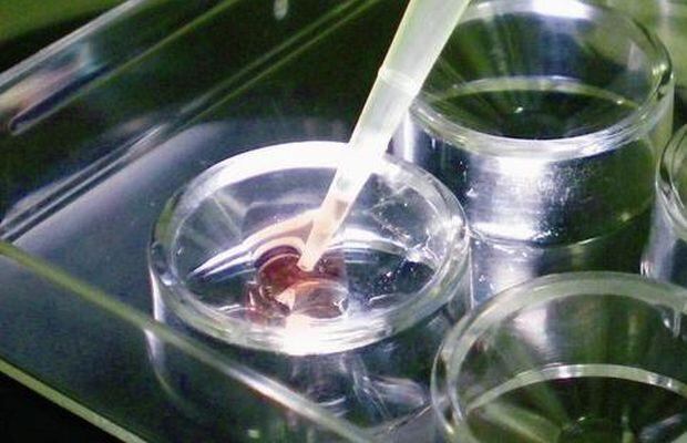 Autorizan envío de esperma congelado reclamado por viuda