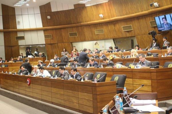 Sesión ordinaria de la Cámara de Diputados. Foto: Gentileza