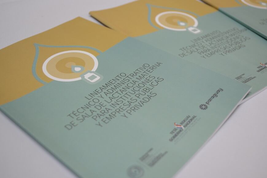 El manual de Lineamiento nacional de sala de lactancia materna servirá como documento marco para países que están trabajando en un texto similar. Foto: Ministerio de Salud.