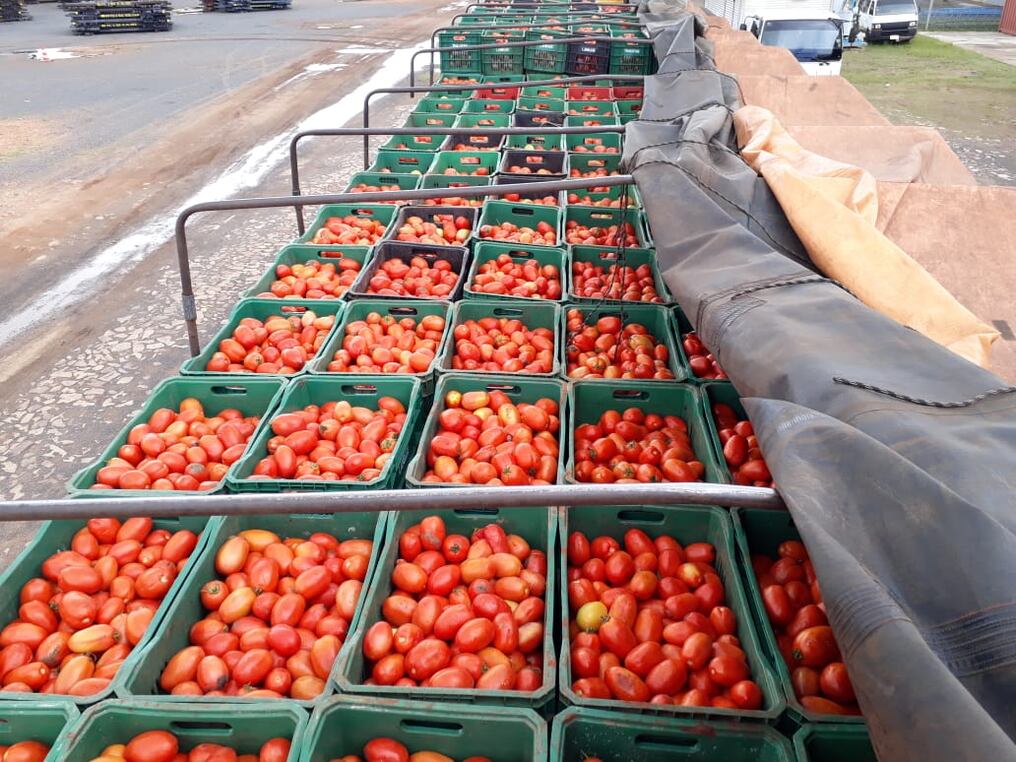 Detave incautó 30.000 kilos de tomates, presumiblemente de contrabando. Foto: Gentileza.
