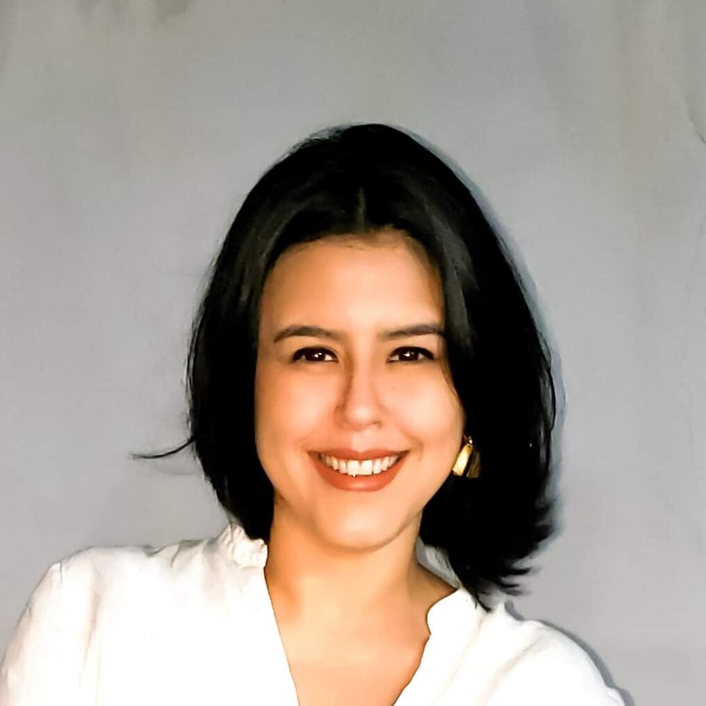 La arquitecta Evelyn Madelaire, vocera del equipo investigador, brindó detalles del denominado “Plan Estratégico para hacer frente al COVID-19 desde la Gestión del Riesgo”. Foto: Gentileza