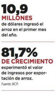 En el primer mes del año, el arroz fue el rubro con mayor crecimiento en sus ingresos por exportaciones, en comparación a enero del 2016, según el informe mensual de comercio exterior del Banco Central del Paraguay (BCP).