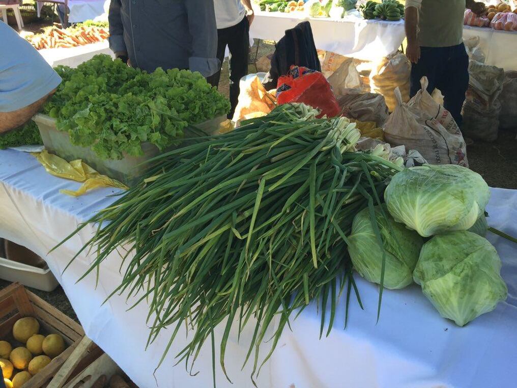 "Consumiendo lo que Itapúa produce", todo un éxito en su primera edición.