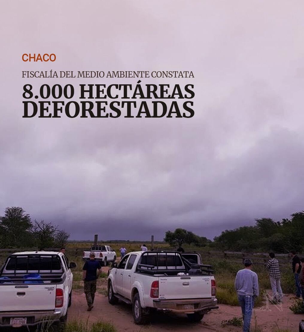 Chaco: Fiscalía del Medio Ambiente constata 8.000 hectáreas deforestadas