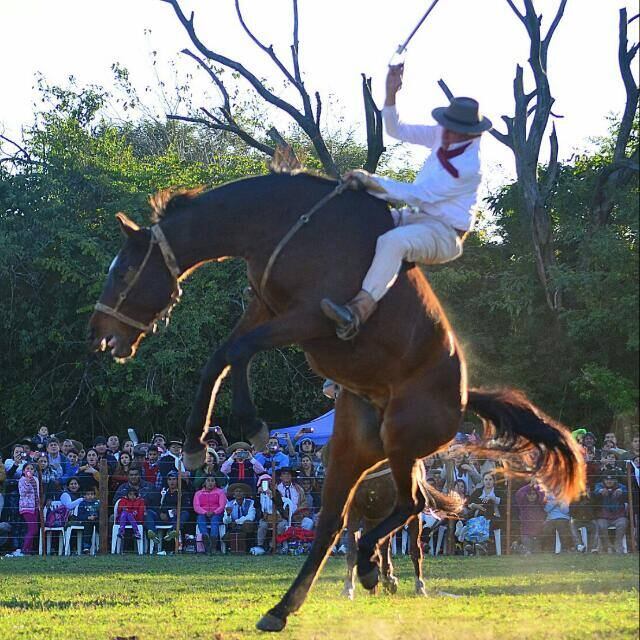 La Fiesta de la Tradición Misionera, es fiesta más grande del país en lo que respecta a espectáculos ecuestres, faena de campo y demás.
