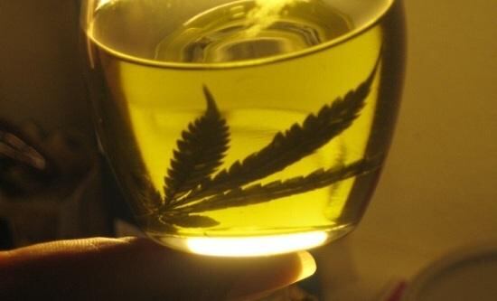 La hoja de la marihuana usualmente se mezcla con alcohol como un preparado casero para friccionar y atenuar dolores de la articulación.

