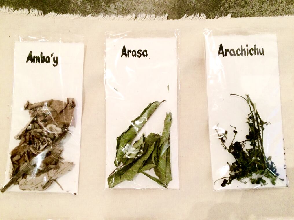 El artista visual Marcos Benítez presentará su obra Poha ñana Proyecto herbolario que consta de 56 diferentes tipos de plantas naturales secas con sus respectivos nombres autóctonos. Foto: Gentileza.