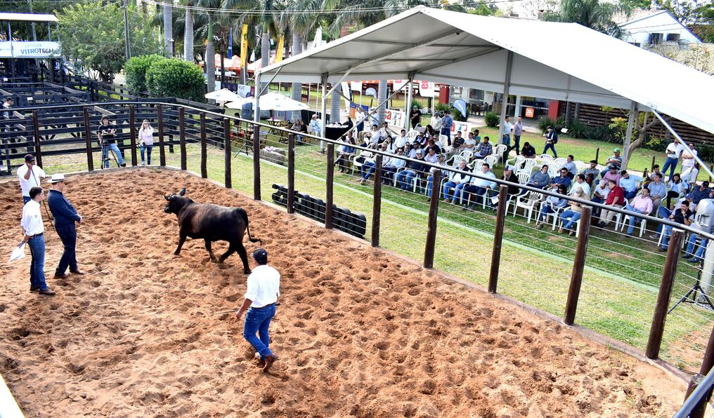 El juez de calificación en todo momento elogió las cualidades de los animales presentados en pista. Foto: Gentileza.