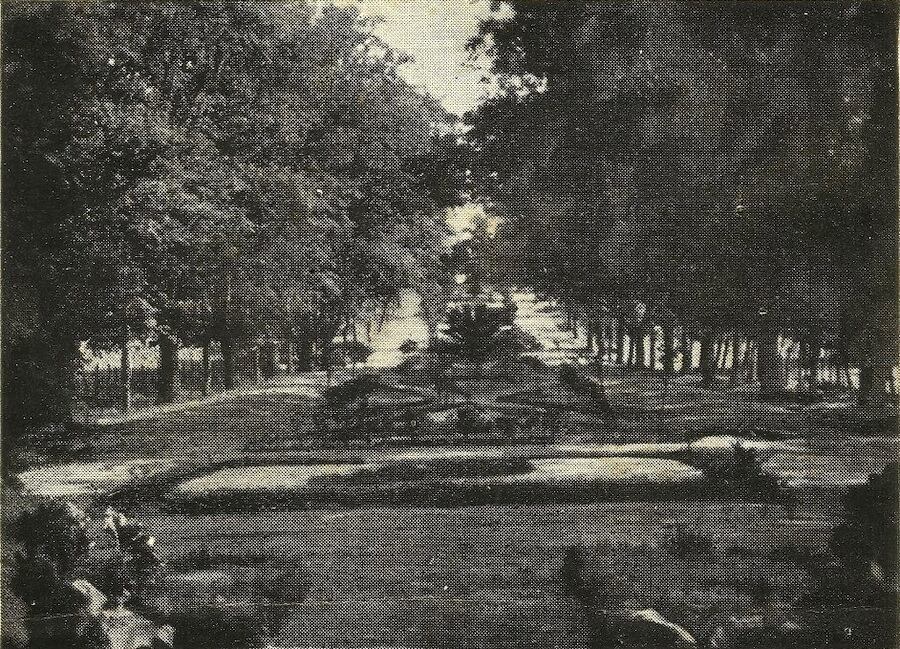 Jardín de la Señora, c.1920 (Desconocido).