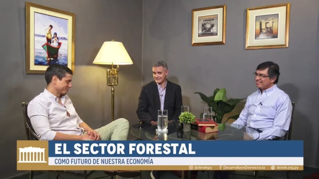 Raúl Gauto señaló que una industria celulosa necesita 200.000 hectáreas de plantación de eucalipto y la producción de celulosa es insumo para unas 200 industrias. Foto: Gentileza. 