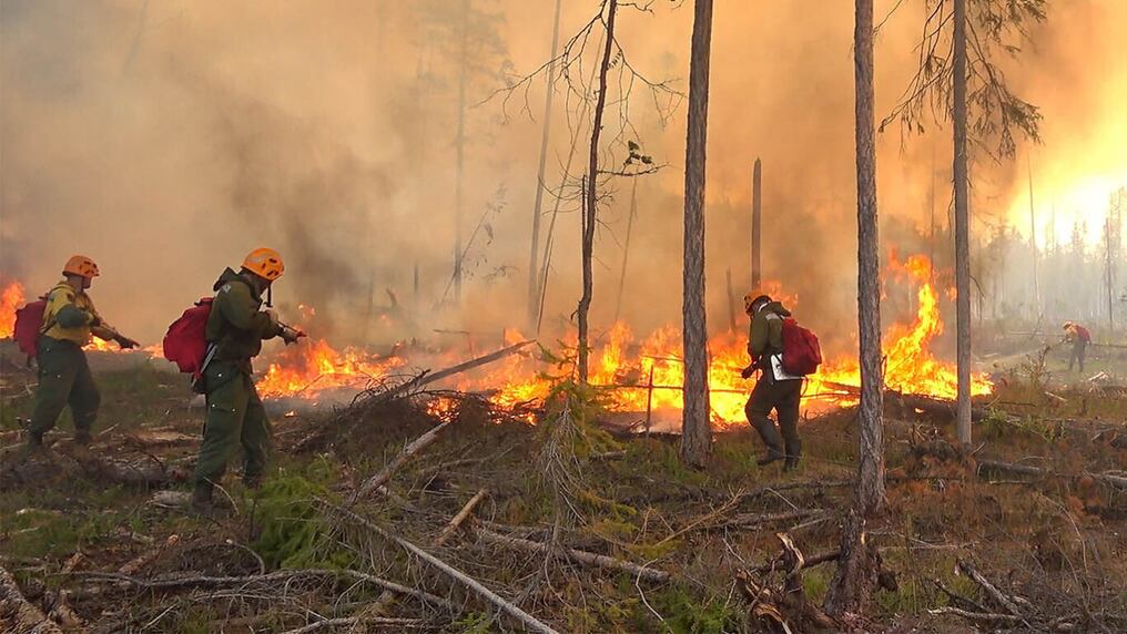 Más de 3,4 millones de hectáreas de bosques se han quemado, incluso en puntos “de difícil acceso y remotas”. Foto: 
Russian Aerial Forest Protection Service.