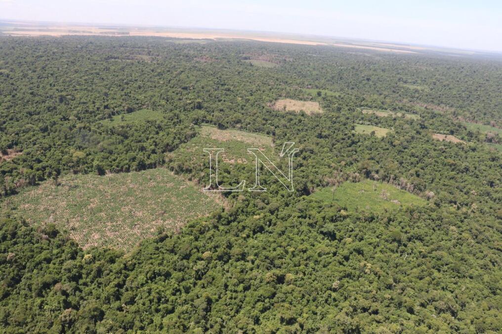 En el reporte se refiere que en este nuevo periodo, más que nunca, la situación ambiental estará vinculada a la calidad de vida que lleven los países. Foto: Archivo.