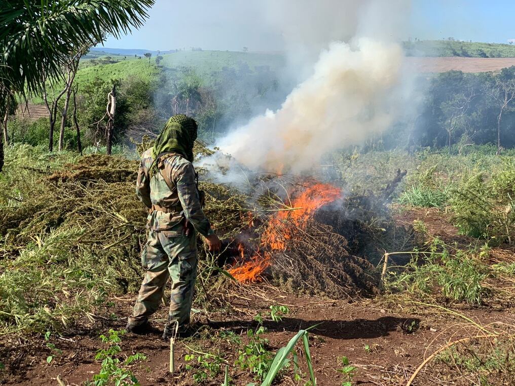 El operativo Nueva Alianza XXX finalizó luego de 10 días y logró detectar 81 campamentos narco. El golpe al crimen organizado se dio en departamentos de frontera. Foto: Gentileza.