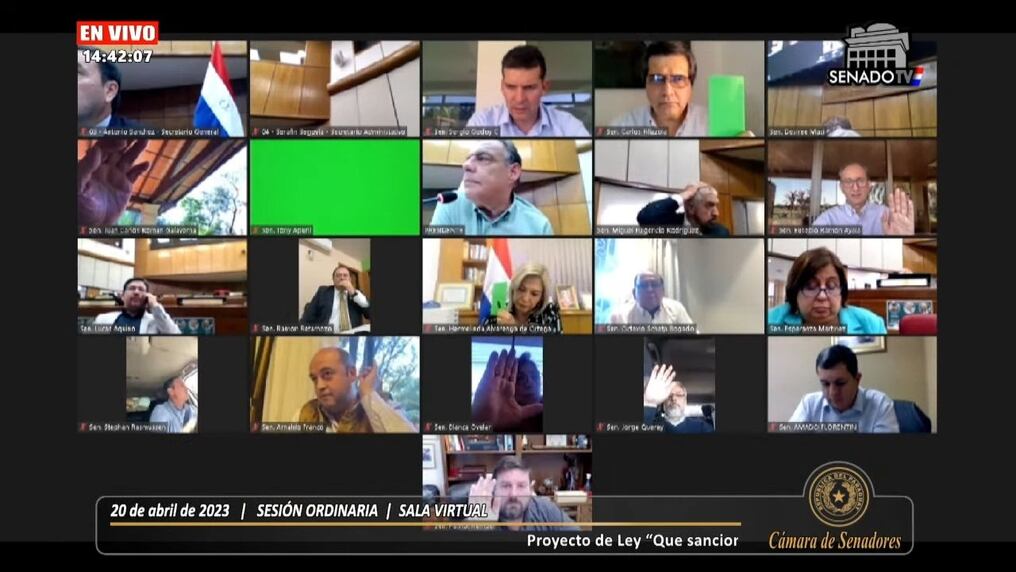 El proyecto fue aprobado con modificaciones y se remite a la Cámara de Diputados. Foto: Gentileza.