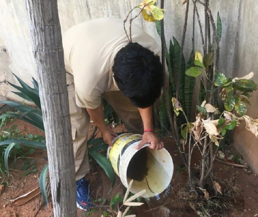 Se insta a la población a cuidar de su salud, con acciones simples: destruyendo los recipientes que puedan acumular agua, guardando bajo techo, tapando o colocando boca abajo los elementos de uso diario. Foto: Gentileza.