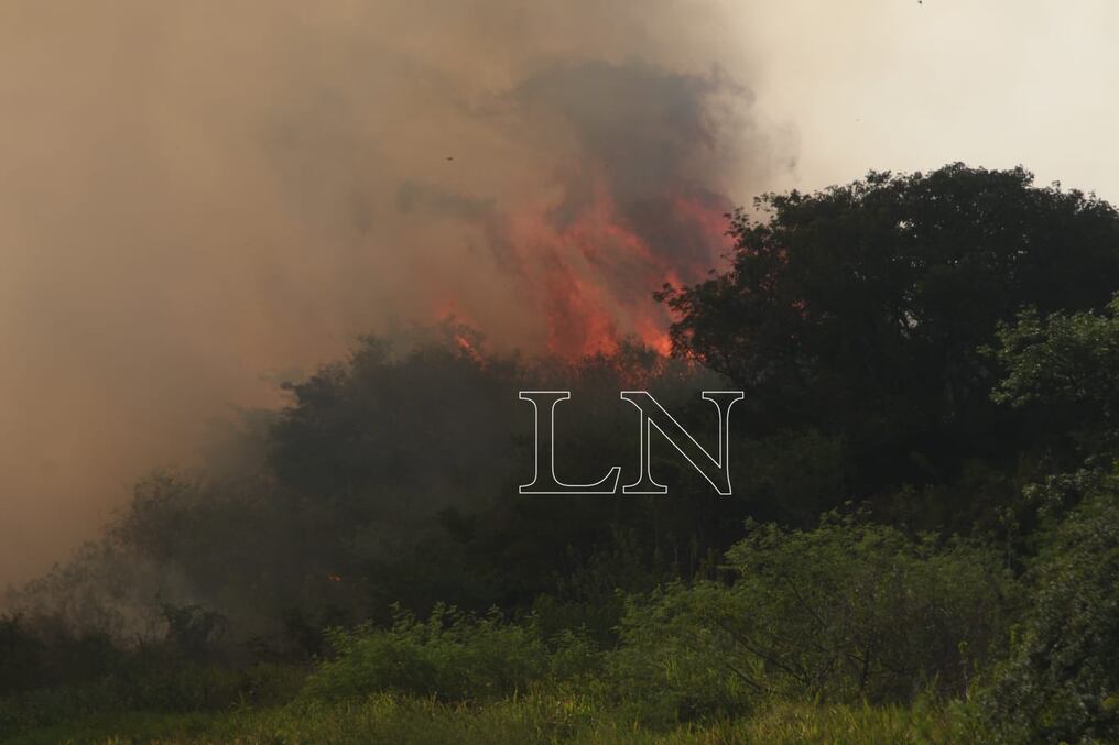 El riesgo de incendios se mantendrá bajo en gran parte de la Región Oriental, a excepción del departamento Central, el norte de Ñeembucú, centro de Misiones, Caazapá y centro de Itapúa. Foto: Ilustrativa/Archivo.