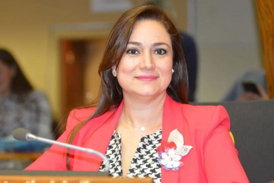 La diputada Rocío Abed solicitó a sus pares el acompañamiento a tres pedidos de informes a instituciones del Estado para indagar sobre la situación de la lucha contra la trata de personas a nivel país; el pedido fue aprobado el miércoles. Foto: Gentileza.