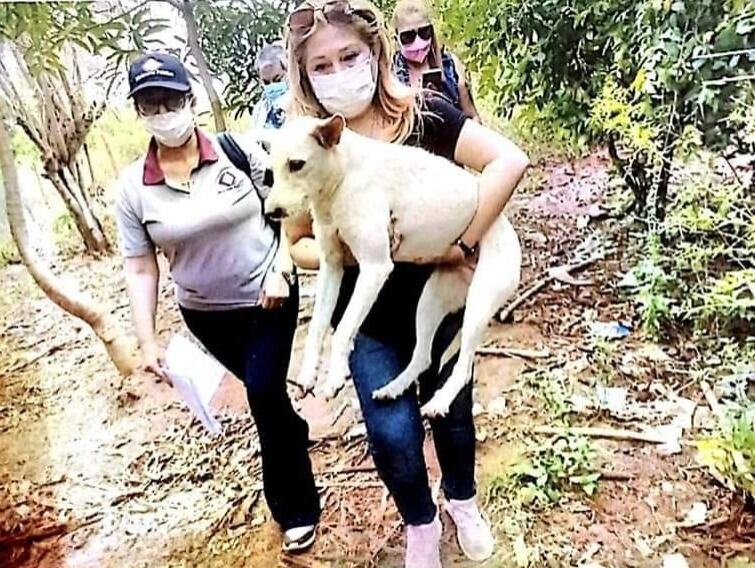 La Fiscalía consiguió la condena de un año de cárcel y la prohibición de tener mascotas contra el acusado. Foto: Gentileza.
