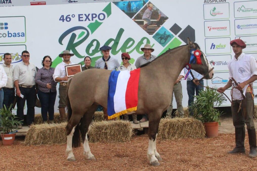 Rvda. Gran Campeona: RP 290 Fechoría de Chajhá con Padres Oro en Polvo y Perdido Chalero. Foto: Gentileza.