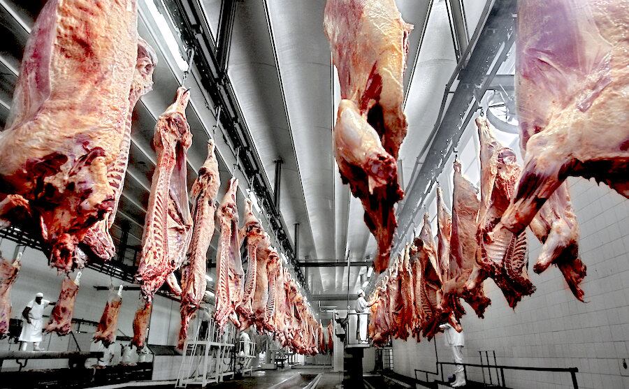 El Servicio Nacional de Calidad y Salud Animal (Senacsa) informó en su boletín mensual que los envíos de carne bovina hasta julio representaron el 80% de los ingresos por el comercio exterior pecuario. Foto: Archivo.