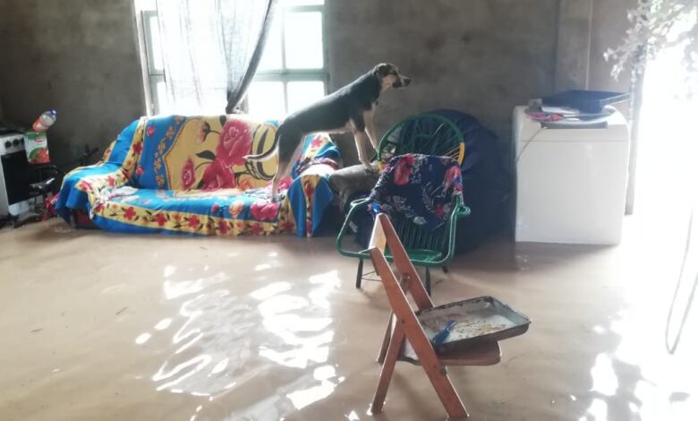 Las familias ya fueron asistidas por parte de la Gobernación, la Municipalidad de Loma Plata y la SEN, pero las ayudas continuarán durante el tiempo que siga esta situación, afirman. Foto: Gentileza.