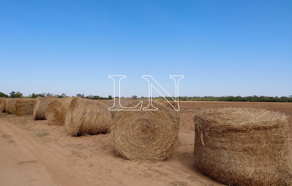 La sequía imposibilitó la producción agrícola y en Boquerón aún aguardan la asistencia del gobierno. Foto: Archivo.