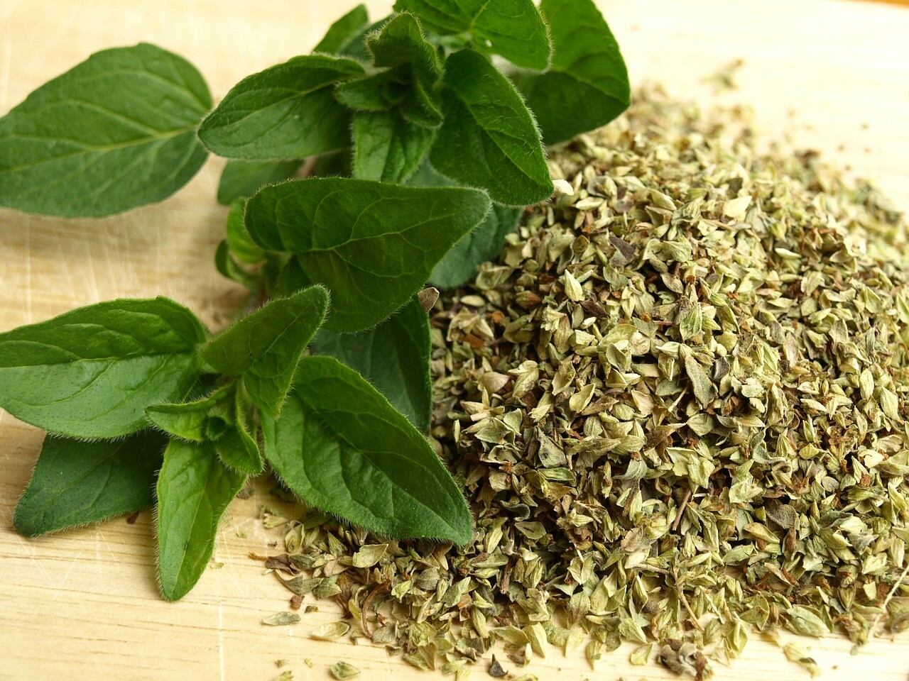 La Nación / El oregano is a natural anti-inflammatory and antiviral