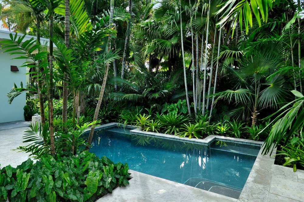 Cinco mejores plantas para el paisajismo de piscinas