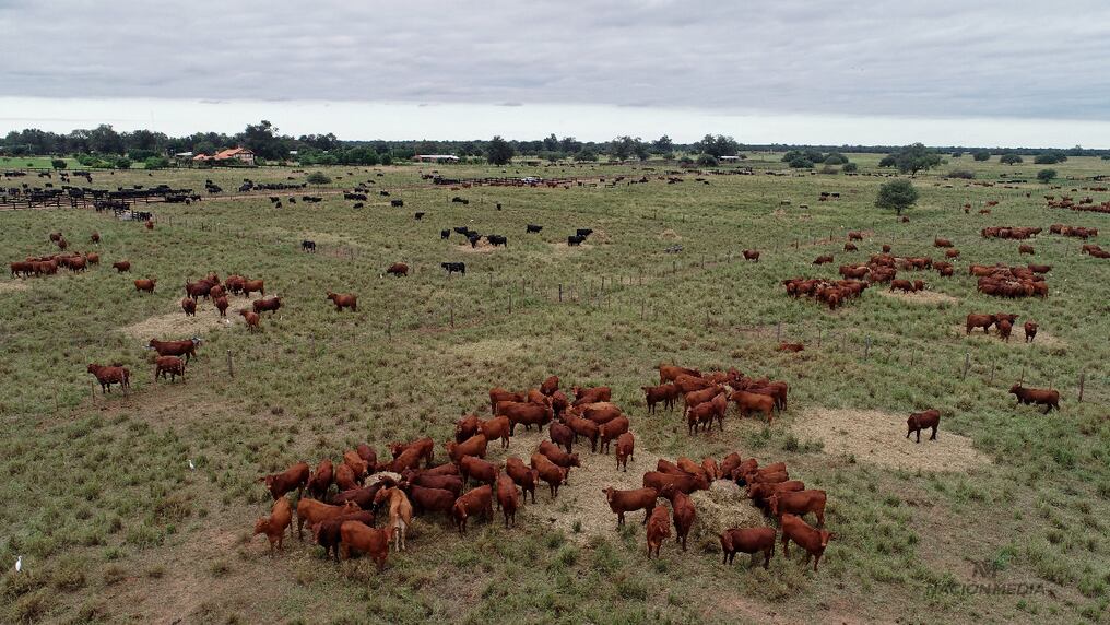 Paraguay reclama financiación y transferencia de tecnología por parte de las potencias mundiales que exigen adecuación en materia de cuidados medioambientales. Foto: Carlos Juri.