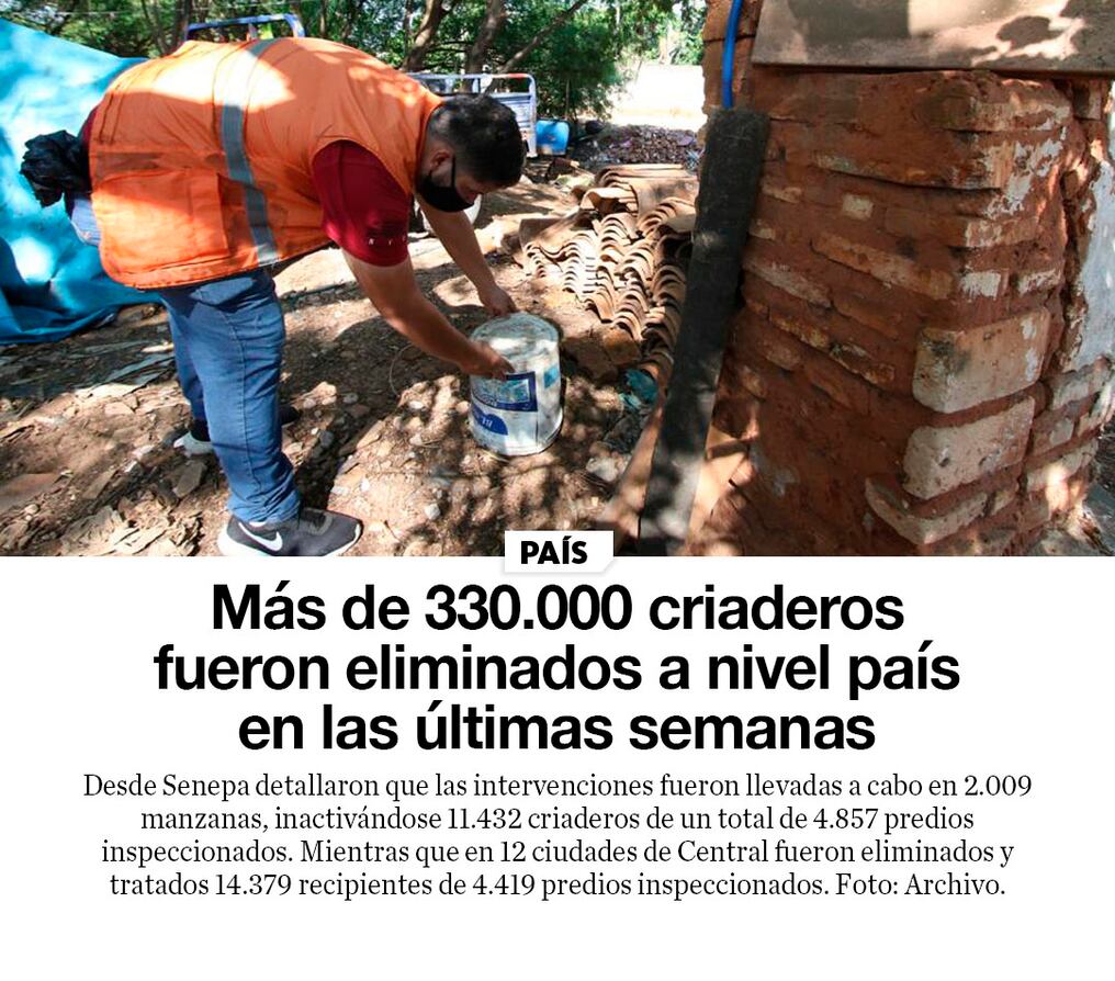 Más de 330.000 criaderos fueron eliminados a nivel país en las últimas semanas