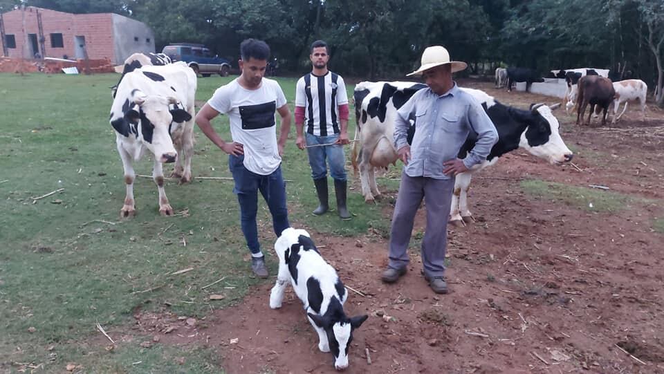 La familia Benítez cuida y alimenta a su ternerito sin patas. Foto: Grupo Fuente Paraguay Caazapá 