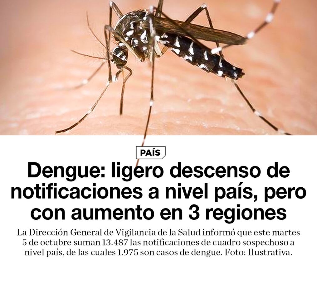 Dengue: ligero descenso de notificaciones a nivel país, pero con aumento en 3 regiones