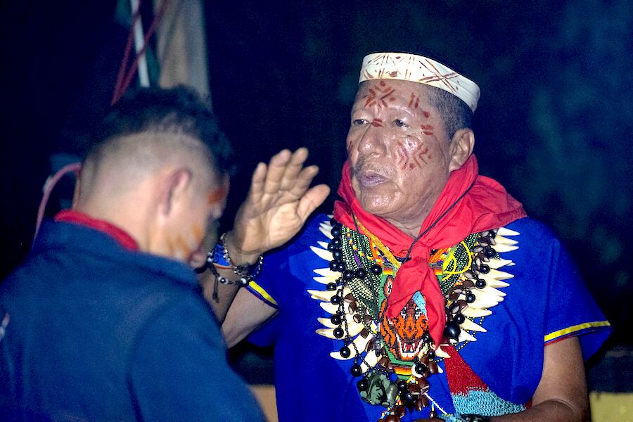 El “camino sagrado” de la ayahuasca
