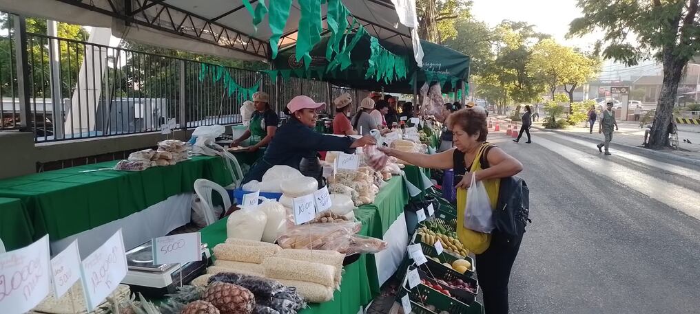 Este jueves se realizó la última Feria de la Agricultura Familiar “Ary paha, fiestas con sabor a campo”, que benefició a más de 800 familias a nivel país. Foto: Gentileza.