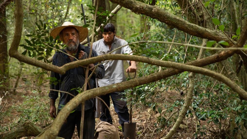 El filme tuvo su avant premiére en nuestro país el pasado 5 de marzo, donde se mantuvo entre las favoritas hasta la llegada de la pandemia. Foto: Gentileza.