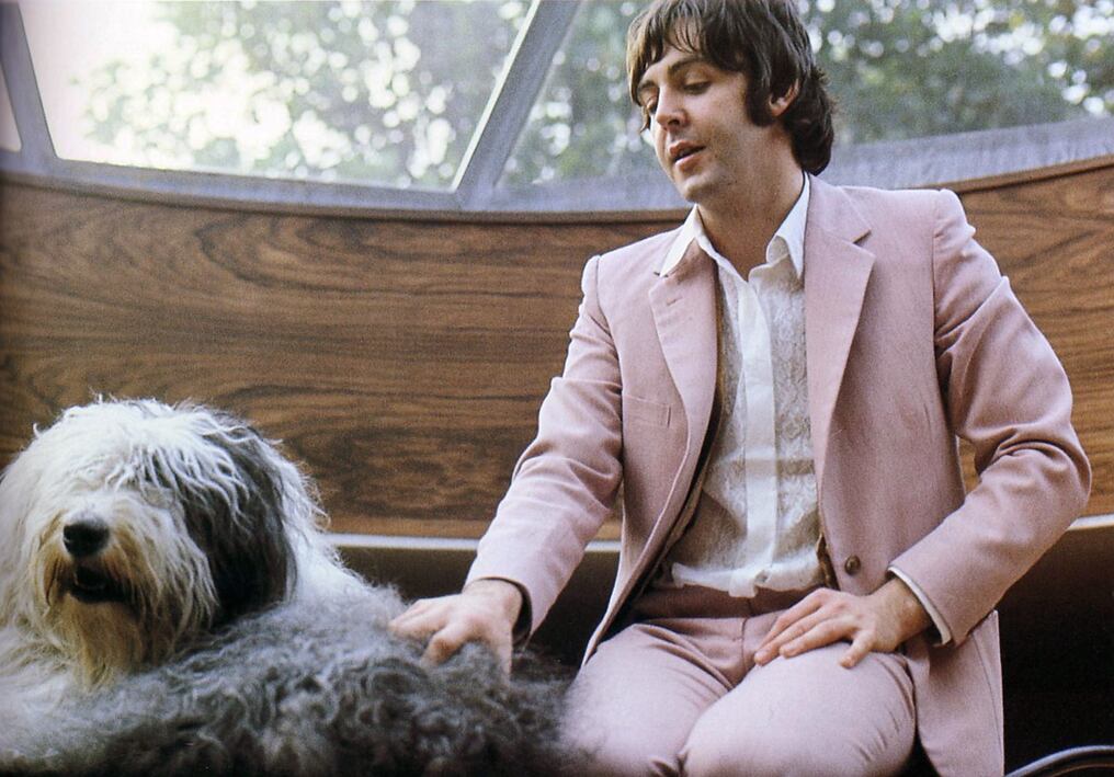 Los Beatles le dedicaron a esta raza canina una canción en 1968, “Martha My Dear”, escrita por Paul McCartney a su perro. Foto: Archivo.
