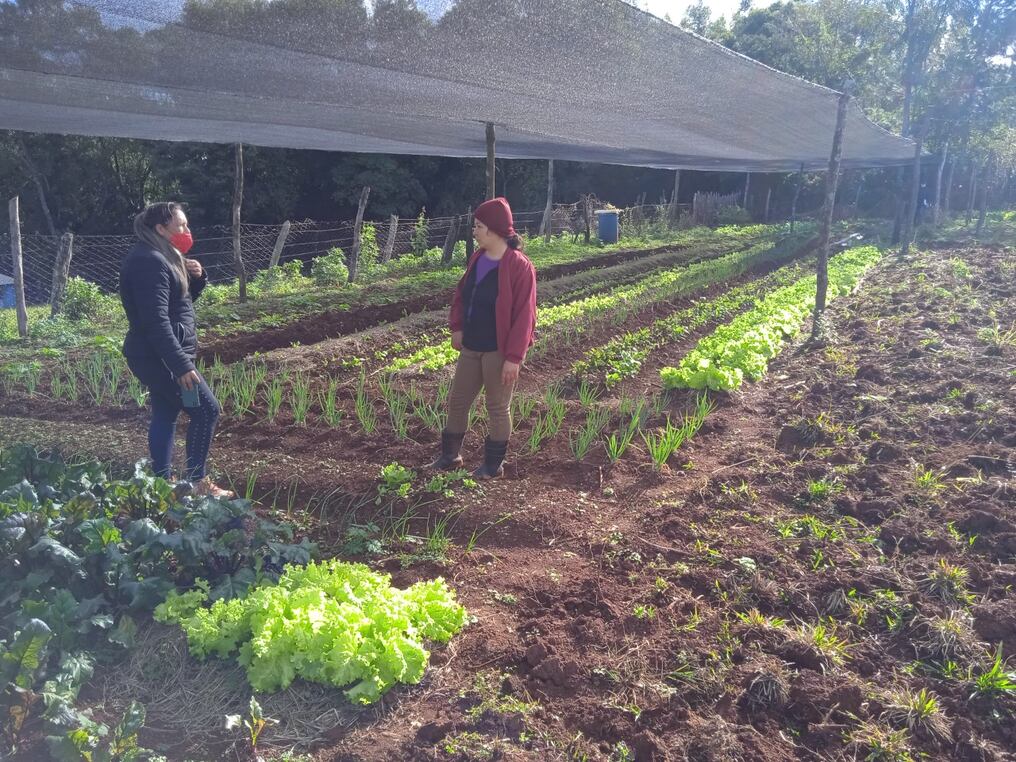 Destacaron que el 40% de los proyectos financiados por el Crédito Agrícola de Habilitación (CAH) corresponden a clientes mujeres. Foto: Gentileza.