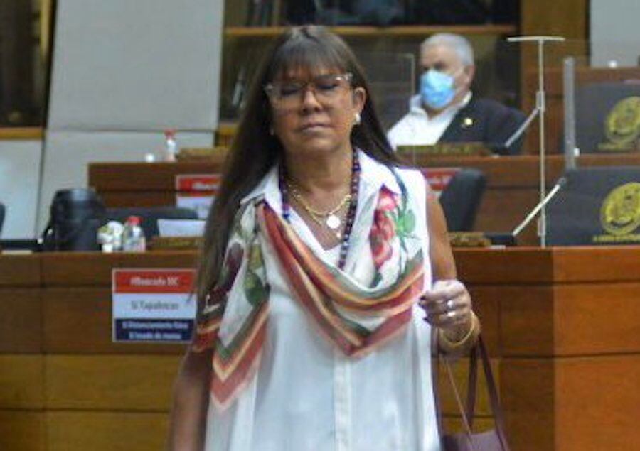 Diputada Celeste Amarilla.