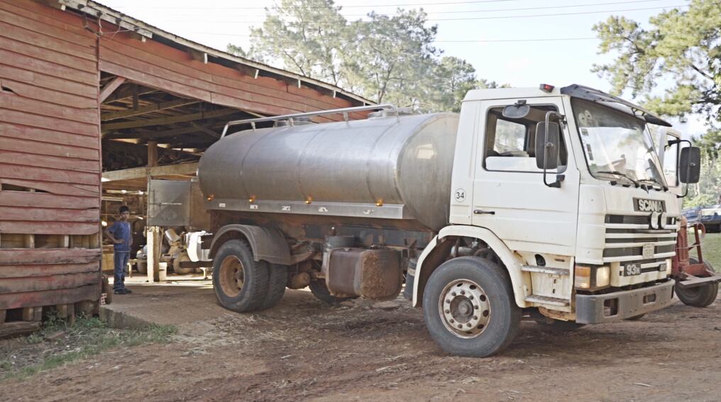 Desde el gremio lechero indicaron que siguen impulsando la producción de leche a fin de mejorar las condiciones del sector. Foto: Gentileza